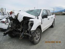 Salvage cars for sale from Copart Rocky View County, AB: 2021 Ford F150 Supercrew