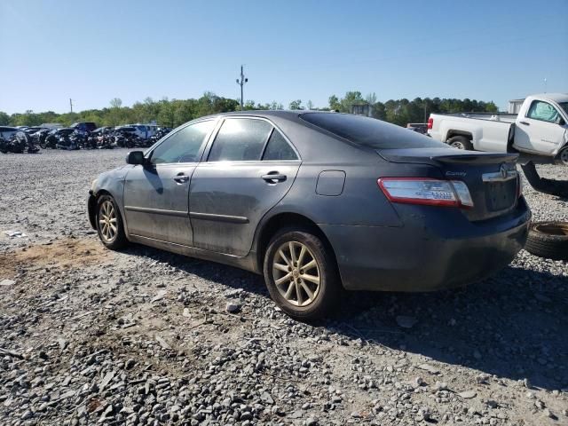 2010 Toyota Camry Hybrid