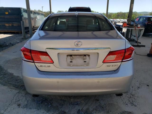 2010 Lexus ES 350