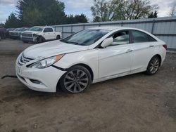 Salvage cars for sale from Copart Finksburg, MD: 2013 Hyundai Sonata SE