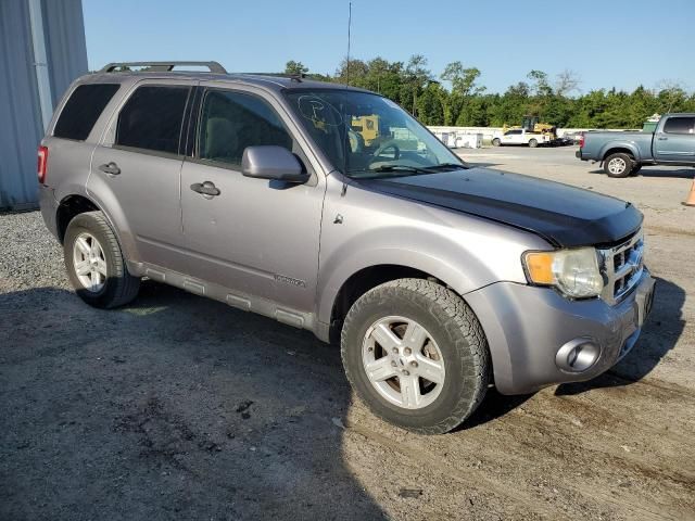 2008 Ford Escape HEV