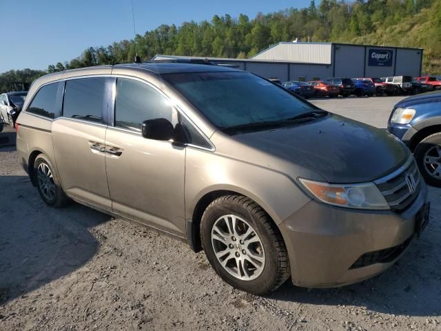 2013 Honda Odyssey EXL