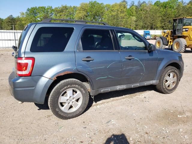 2011 Ford Escape XLT