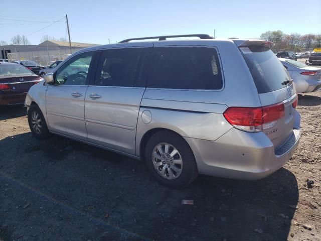 2010 Honda Odyssey EXL