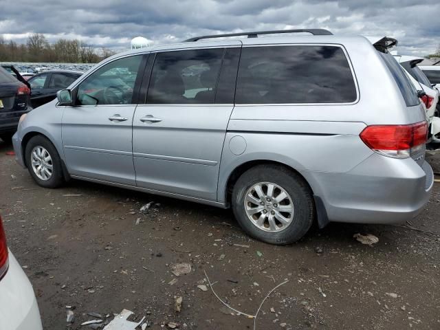 2010 Honda Odyssey EXL