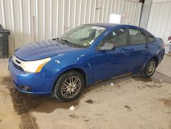 Ford Focus salvage cars for sale: 2011 Ford Focus SE