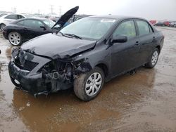 Salvage cars for sale from Copart Elgin, IL: 2010 Toyota Corolla Base