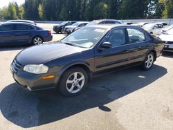 Salvage cars for sale from Copart Arlington, WA: 2000 Nissan Maxima GLE