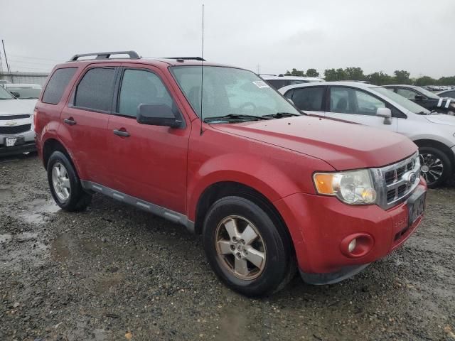 2010 Ford Escape XLT