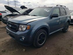 Salvage cars for sale at Elgin, IL auction: 2011 Ford Escape XLT