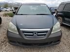 2005 Honda Odyssey EXL