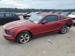 Salvage cars for sale at Harleyville, SC auction: 2005 Ford Mustang