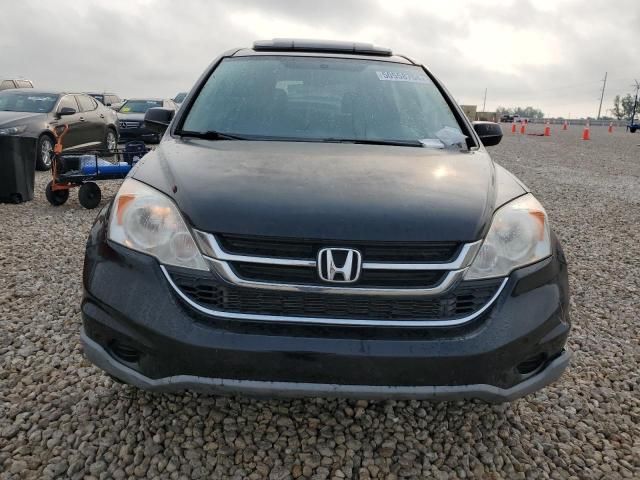 2010 Honda CR-V EXL