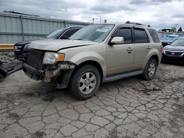 2010 Ford Escape Limited