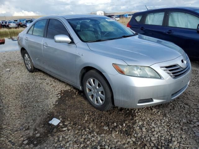 2008 Toyota Camry Hybrid