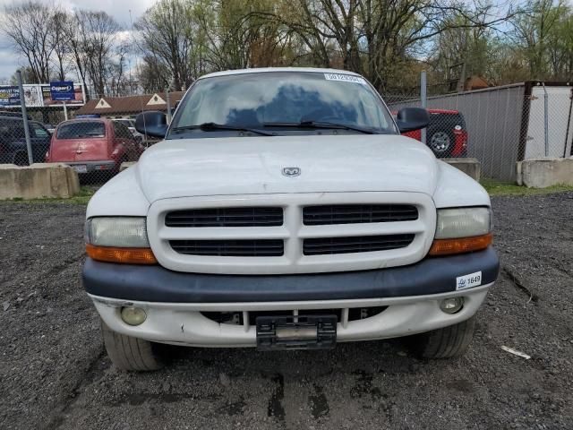 2003 Dodge Dakota Quad Sport