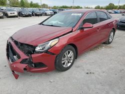 Salvage cars for sale at Lawrenceburg, KY auction: 2016 Hyundai Sonata SE