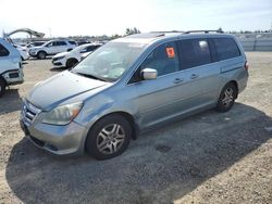 Honda Vehiculos salvage en venta: 2005 Honda Odyssey EXL