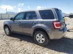 2011 Ford Escape XLS