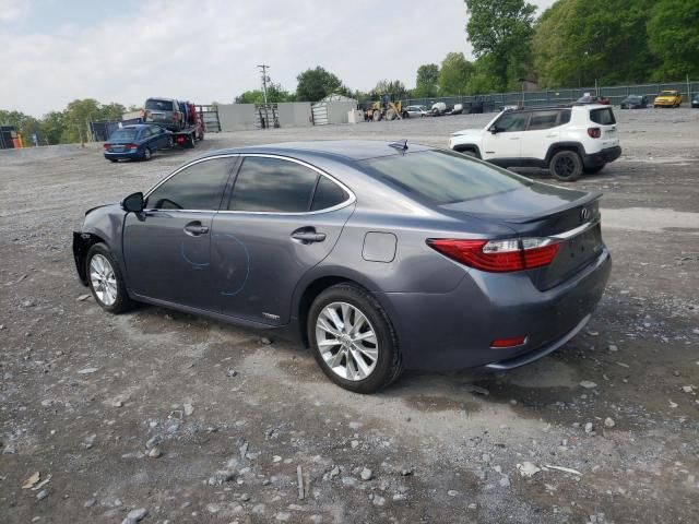 2013 Lexus ES 300H