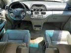 2005 Honda Odyssey EXL