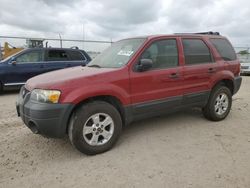 2007 Ford Escape XLT for sale in Houston, TX