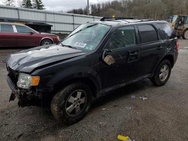 2011 Ford Escape XLT