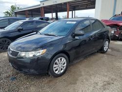 Vehiculos salvage en venta de Copart Riverview, FL: 2013 KIA Forte EX