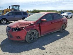 Ford Focus SE salvage cars for sale: 2014 Ford Focus SE