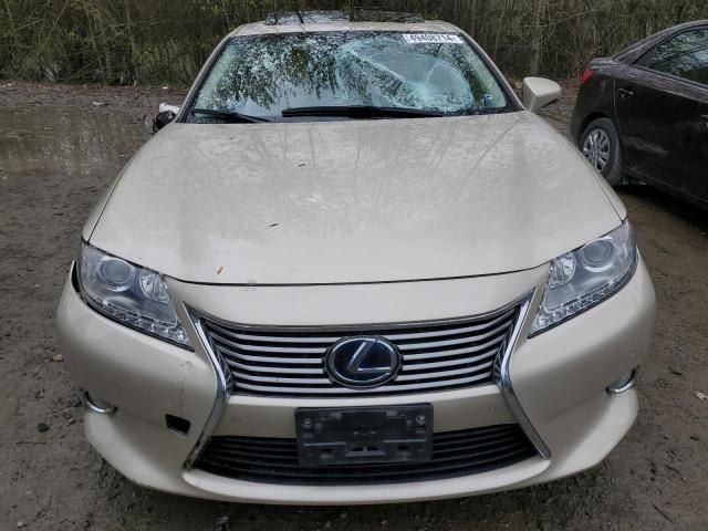 2013 Lexus ES 300H