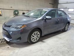 2019 Toyota Corolla L for sale in Blaine, MN