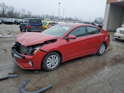 Salvage cars for sale at Fort Wayne, IN auction: 2019 Hyundai Elantra SE