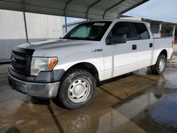 Salvage cars for sale from Copart Fresno, CA: 2013 Ford F150 Supercrew