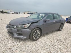 Salvage cars for sale at New Braunfels, TX auction: 2014 Honda Accord Hybrid EXL