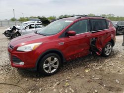 Vehiculos salvage en venta de Copart Louisville, KY: 2013 Ford Escape SE