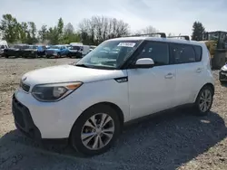 Salvage cars for sale from Copart Portland, OR: 2015 KIA Soul +
