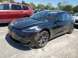 Tesla Vehiculos salvage en venta: 2021 Tesla Model 3