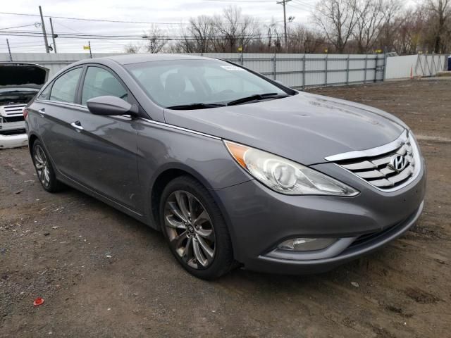 2011 Hyundai Sonata SE