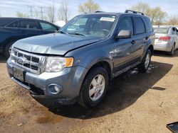 Salvage cars for sale at Elgin, IL auction: 2012 Ford Escape XLT