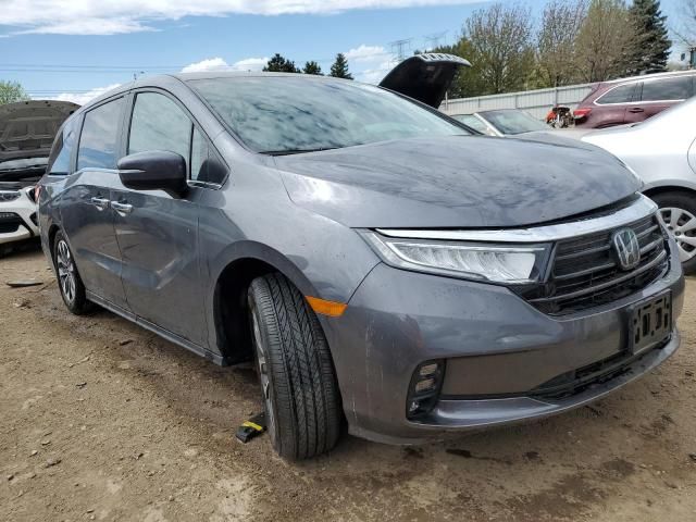 2024 Honda Odyssey EXL