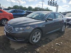 Salvage cars for sale at Columbus, OH auction: 2019 Ford Taurus SEL