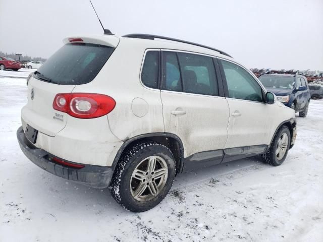 2010 Volkswagen Tiguan SE