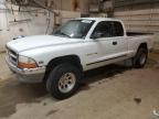 1999 Dodge Dakota