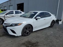 Vehiculos salvage en venta de Copart Jacksonville, FL: 2019 Toyota Camry L