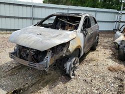 Salvage cars for sale at Lufkin, TX auction: 2017 KIA Sorento SX