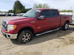 Ford salvage cars for sale: 2013 Ford F150 Supercrew