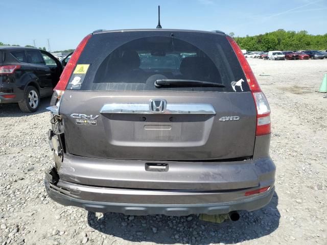 2010 Honda CR-V EX