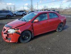 Salvage cars for sale from Copart Montreal Est, QC: 2009 Toyota Corolla Base