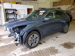 Salvage cars for sale at Ham Lake, MN auction: 2020 Ford Escape SEL