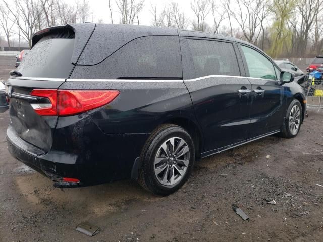 2022 Honda Odyssey EXL